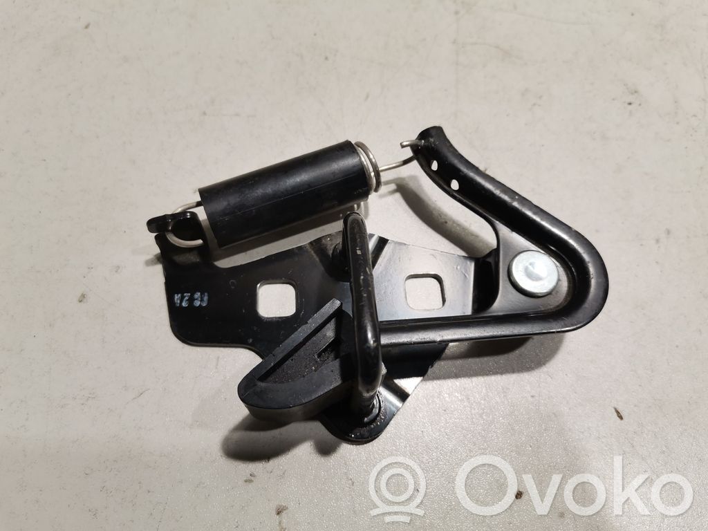 Trunk lock loop   54404B12