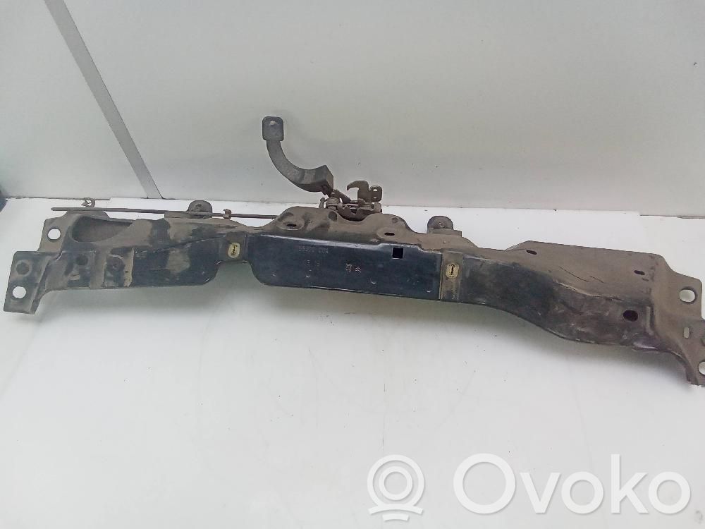 Engine bonnet/hood lock/catch   756300D04