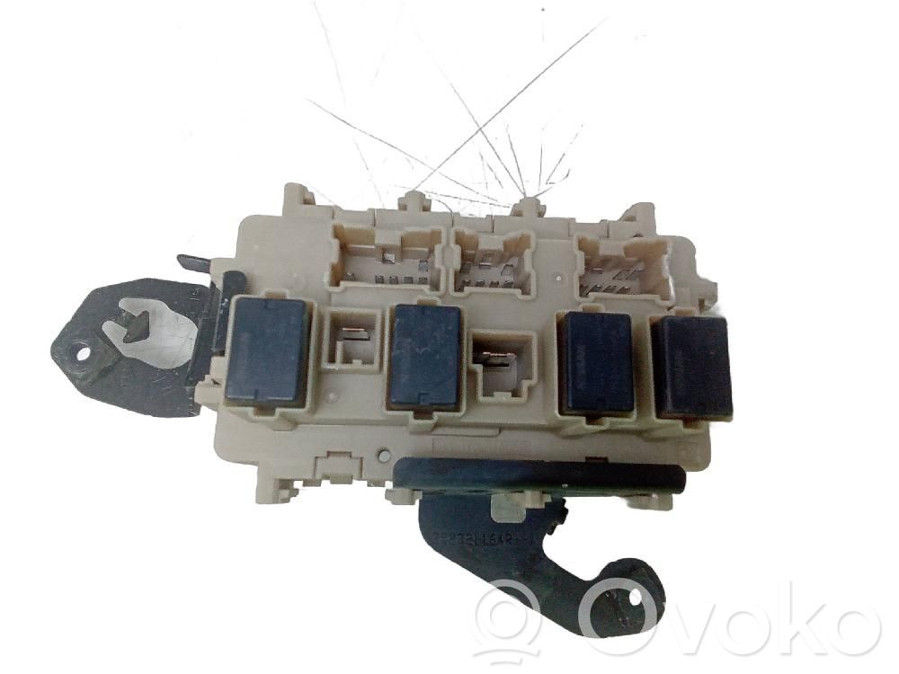 Fuse module   252321164R