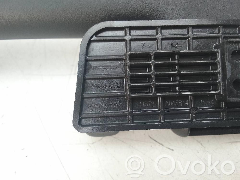 Asidero interior trasero   HS73A045B14