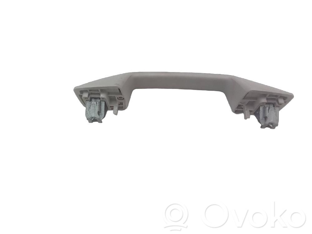 Asidero interior delantero   9813105577