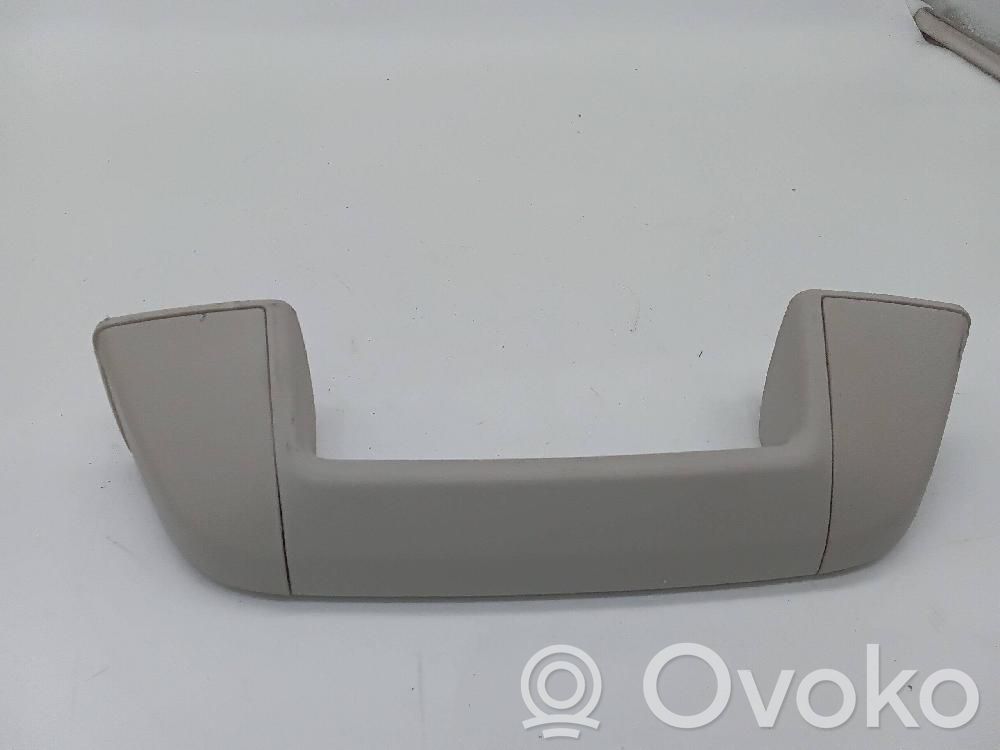 Asidero interior delantero   9813105577