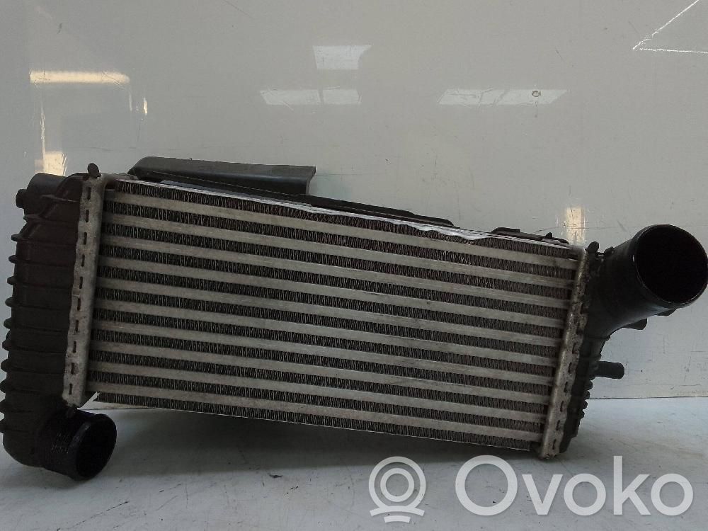 Ladeluftkühler   BV619L44
