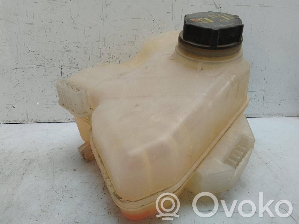 Ford Tourneo Serbatoio di compensazione del liquido refrigerante/vaschetta