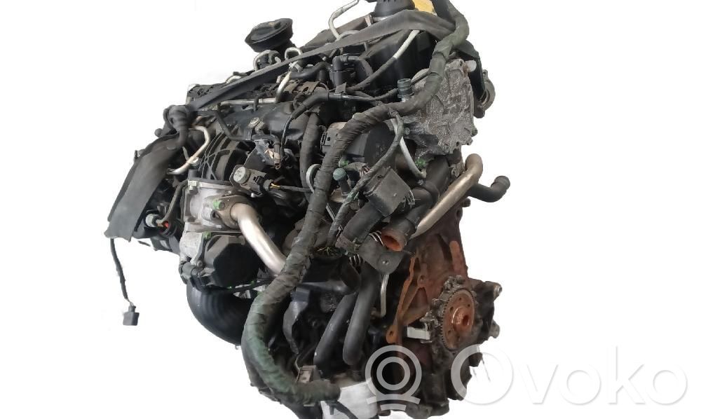 Motor   CBB
