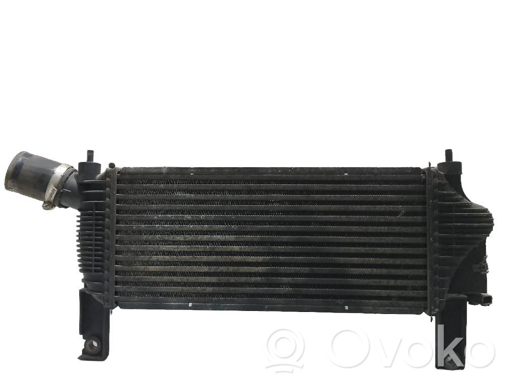 Radiatore intercooler   14461EB360