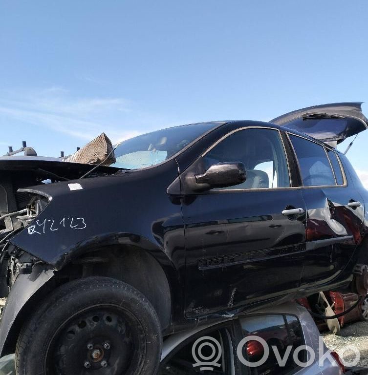 Renault Clio III Geam ușă față patru uși 