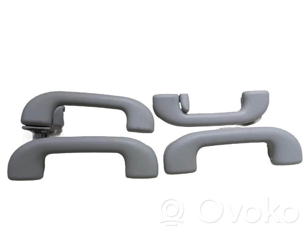 Asidero interior delantero   735599351