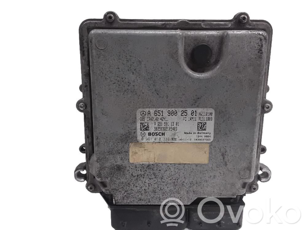 Unidad de control/módulo del motor   A6519002501