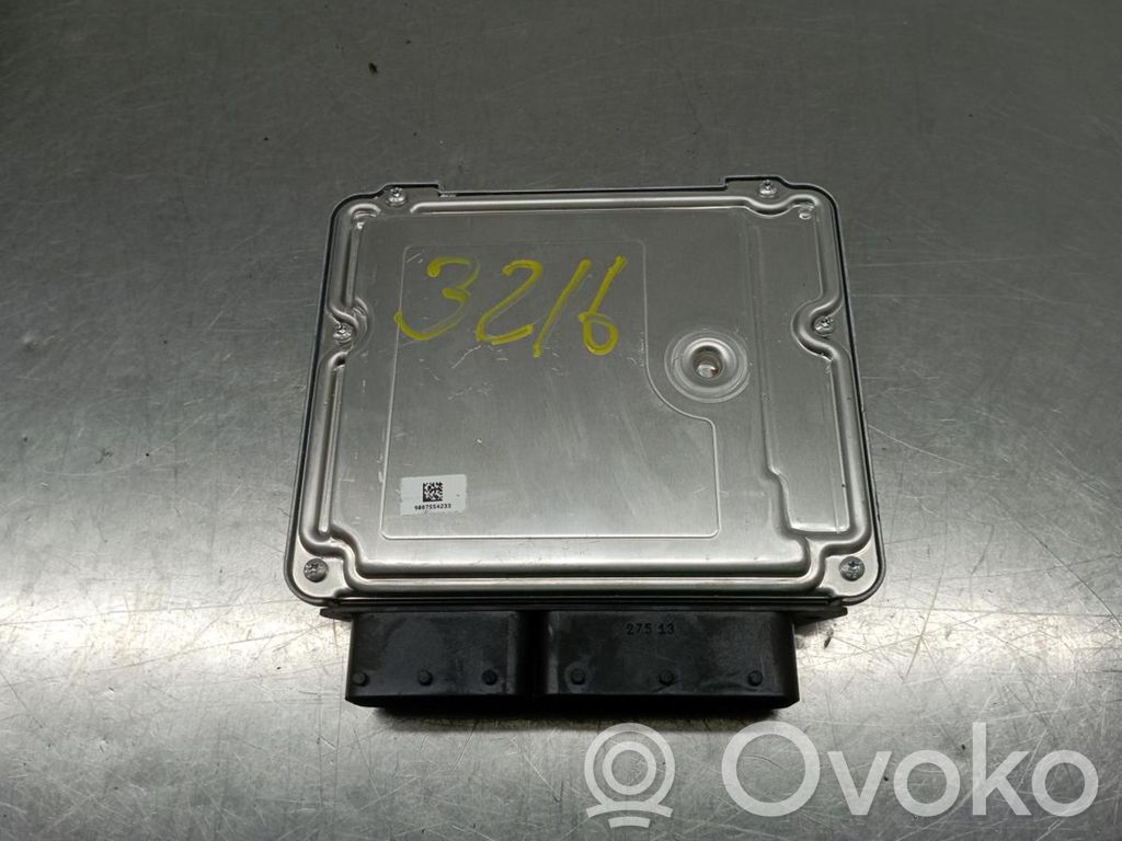 Engine control unit/module   0281031295,858228101,BOSCH