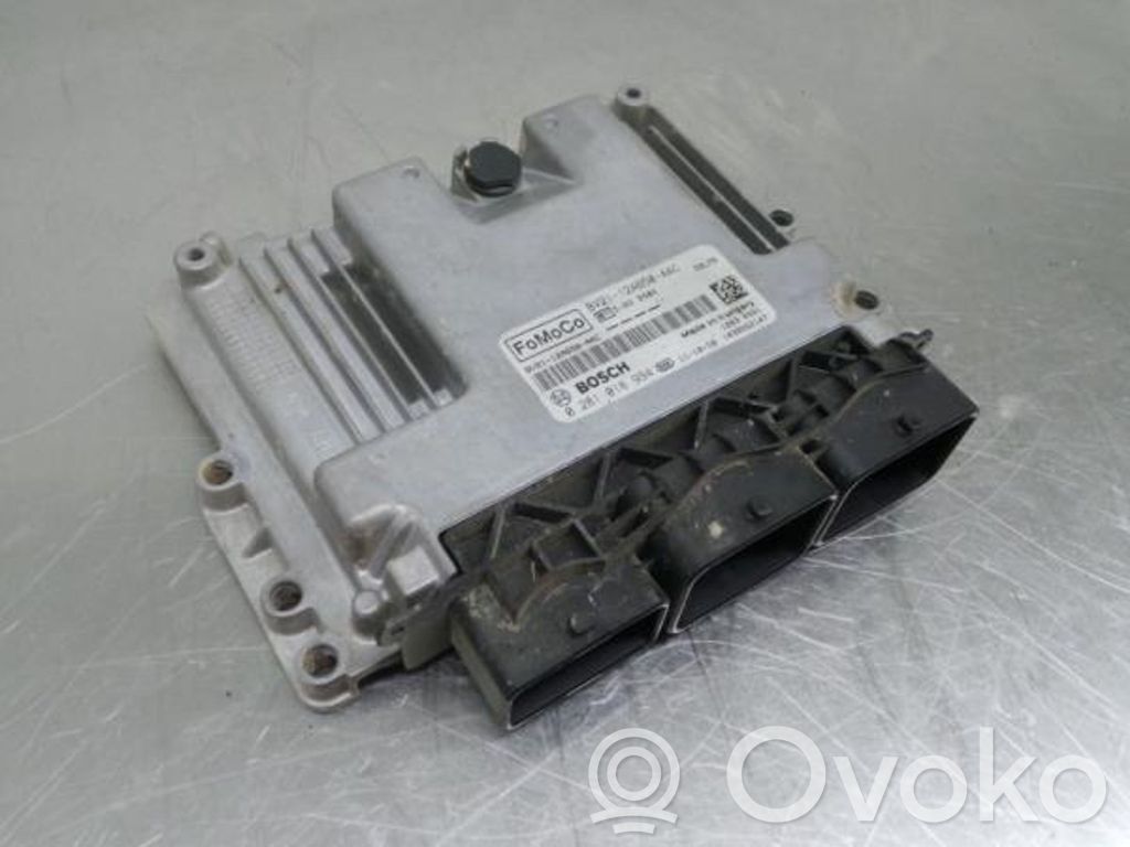 Unidad de control/módulo del motor   0281018994,1039S52147,BV2112A650AAC