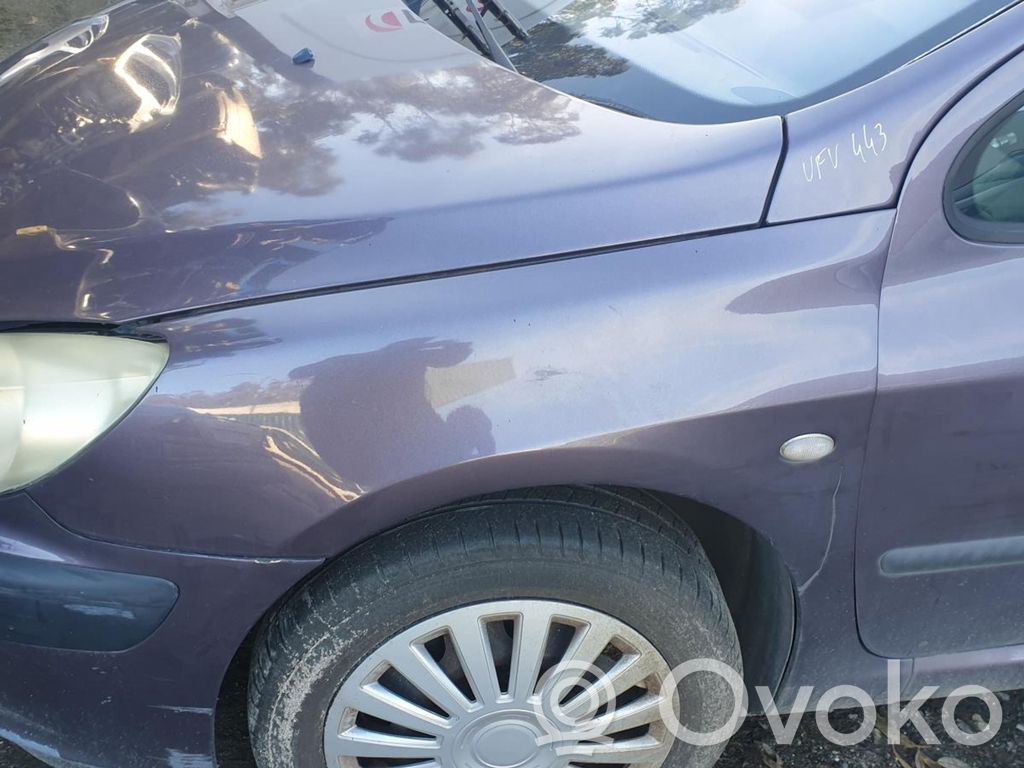 Peugeot 307 Fender 
