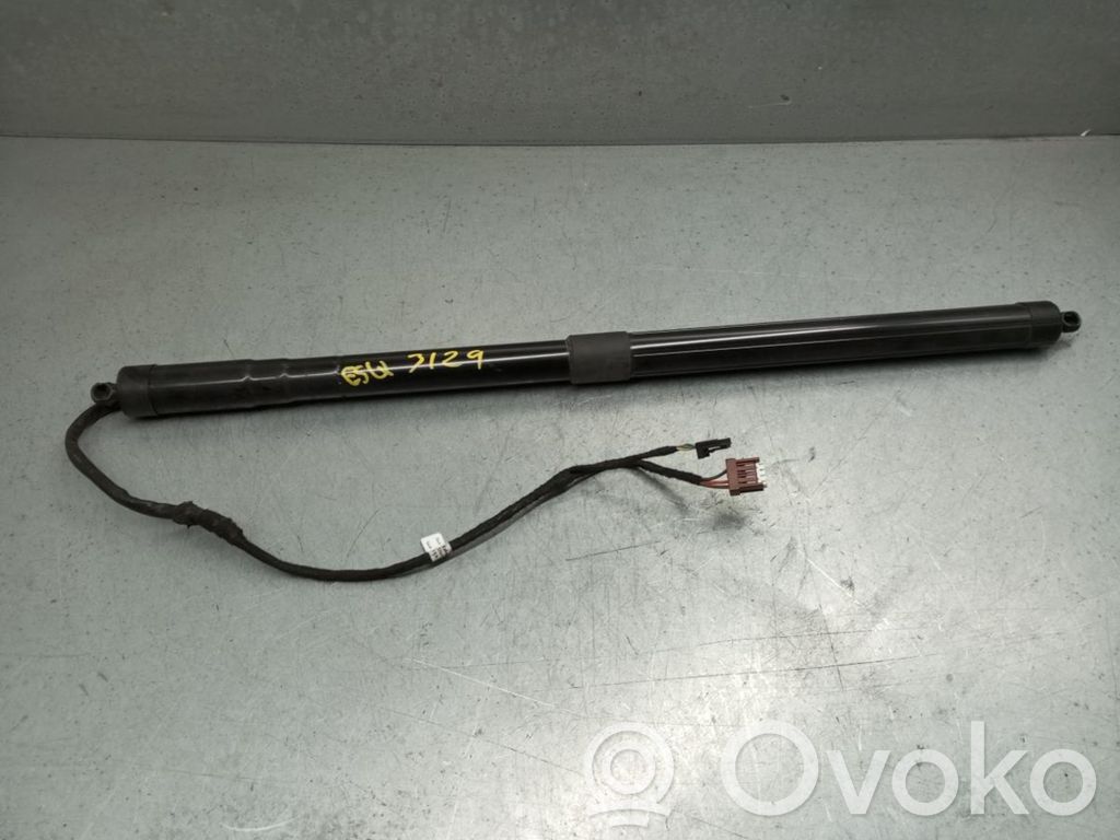 Tailgate/trunk strut/damper   904527505R,28052018,ESQUERDO
