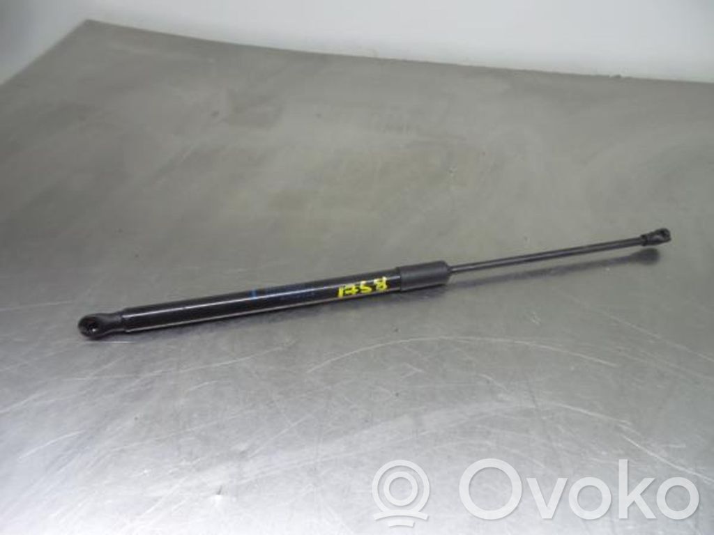 Tailgate/trunk strut/damper   904508213R