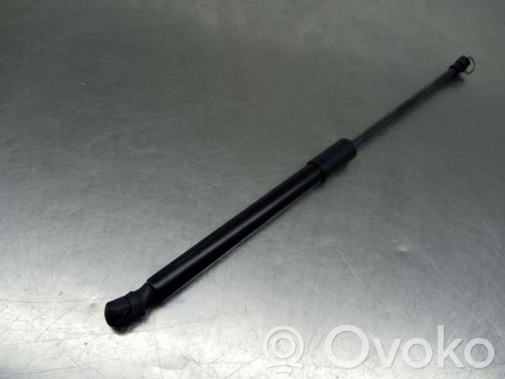 Tailgate/trunk strut/damper   904514584R