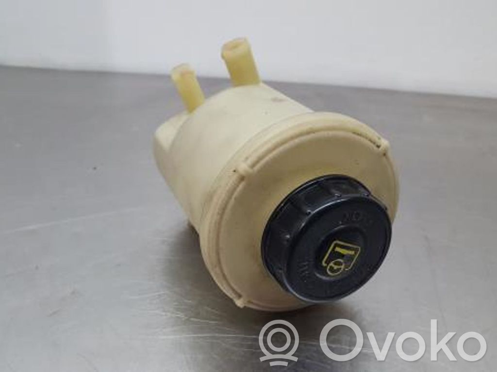 Ohjaustehostimen nestesäiliö   491150002R