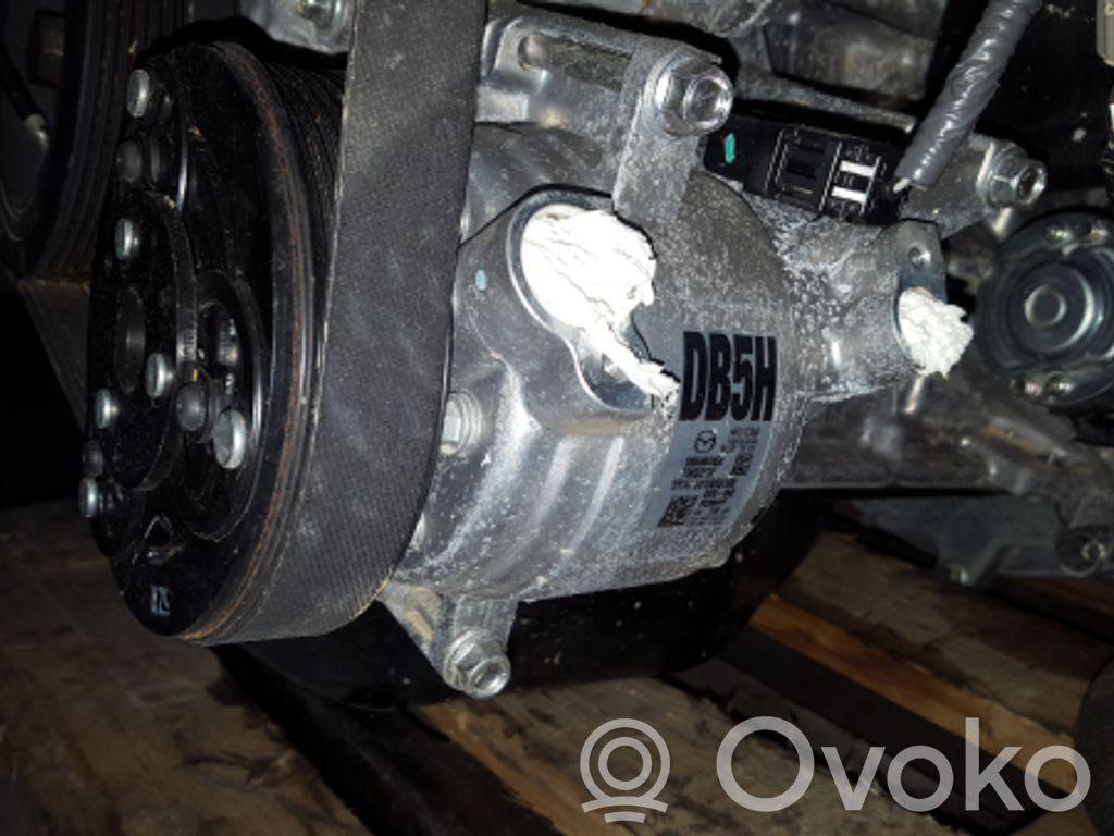 Air conditioning (A/C) compressor (pump)   DB5H61450,6010093180,DKV09Z,T965223A