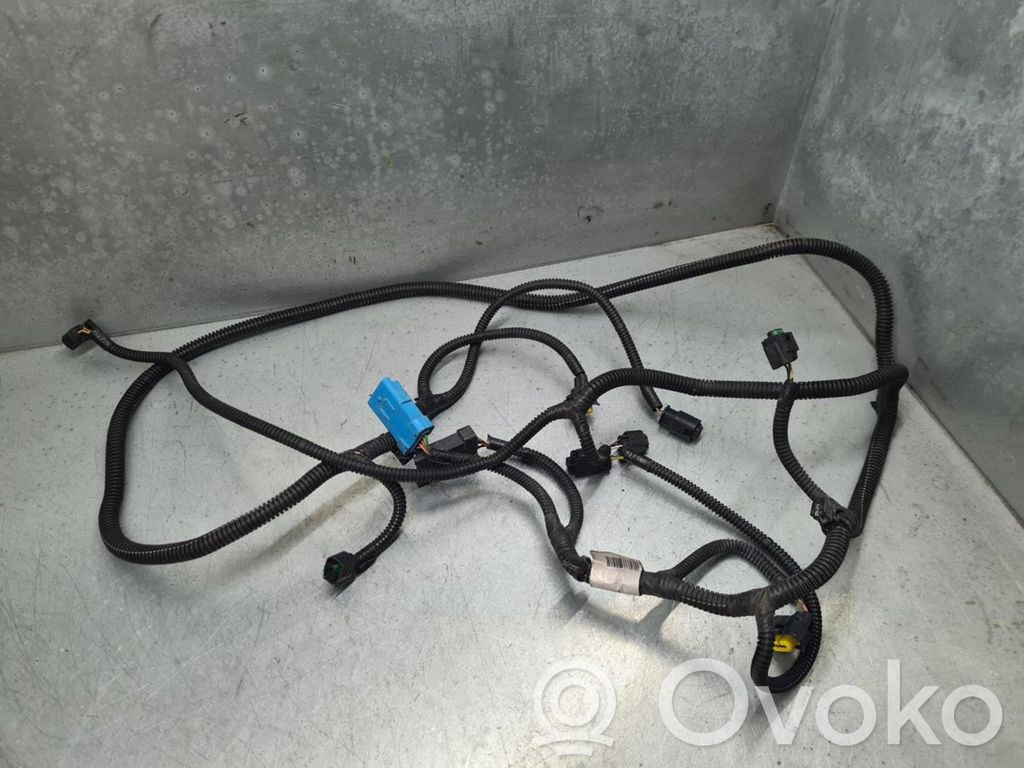 Citroen DS5 Otros cableados 