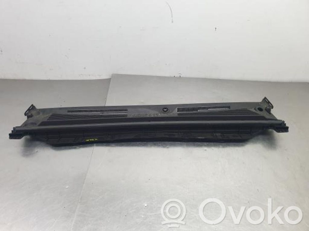 Moldura del limpia   668115282R