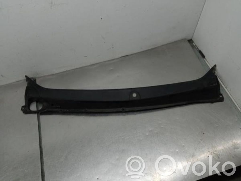 Zierleiste Scheibenwischer   668113292R