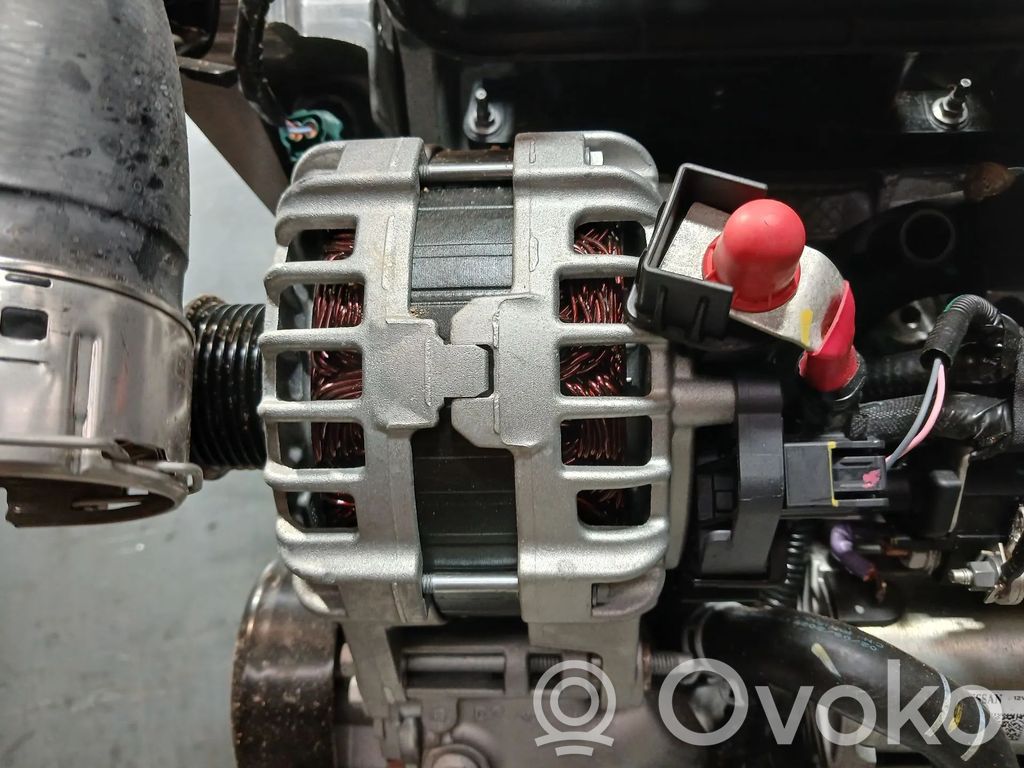Alternador   231005607R,F000BL08GL,TL1251012