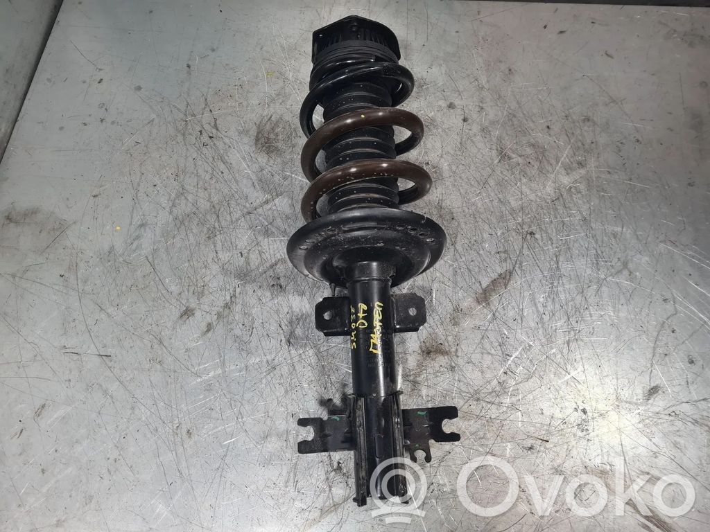 Stoßdämpfer vorne   543021313R