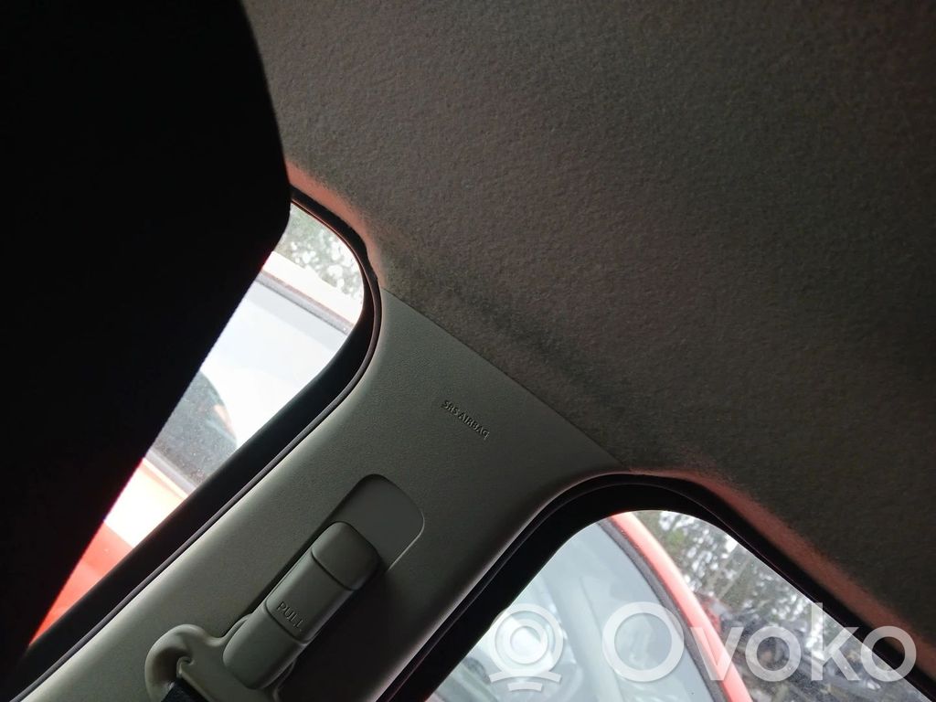 Airbag cortină