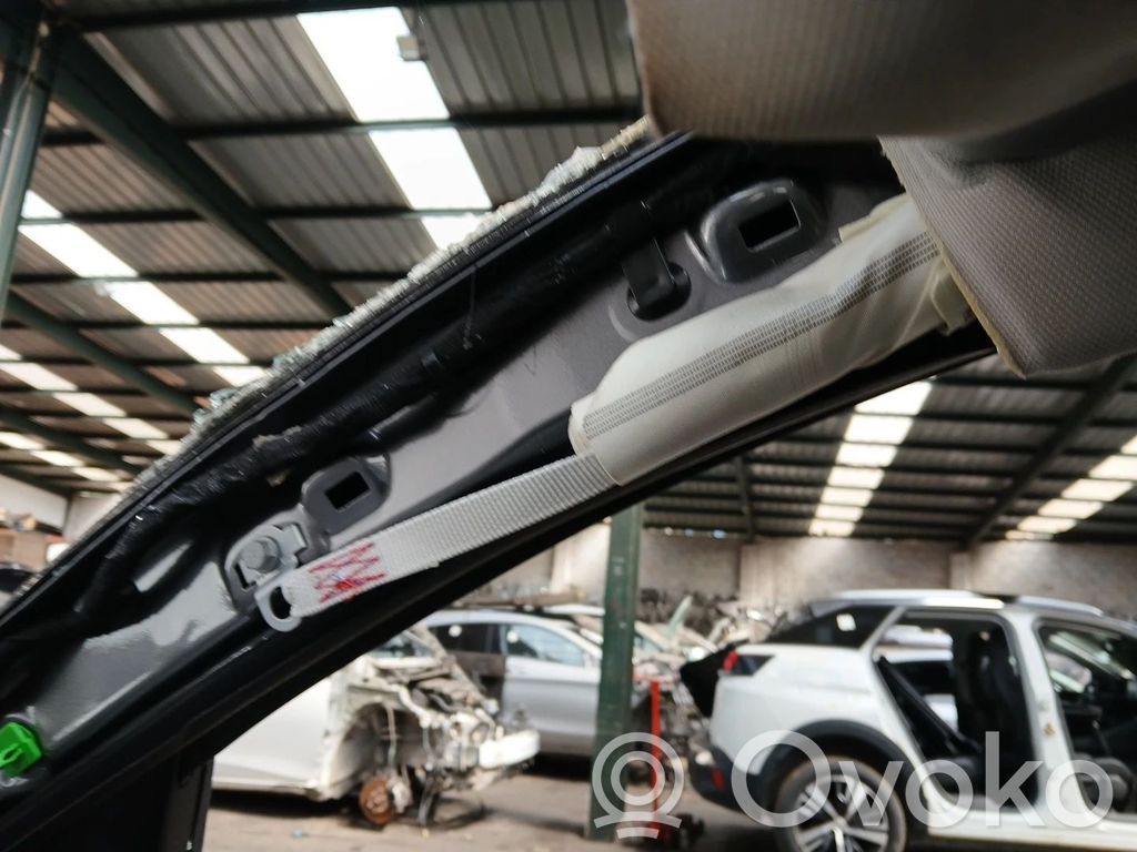 Renault Arkana Airbag cortină