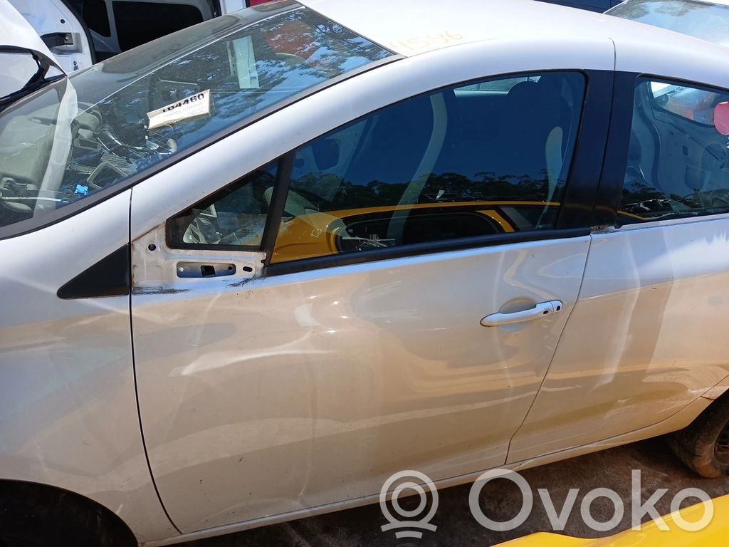 Renault Zoe Durvis 
