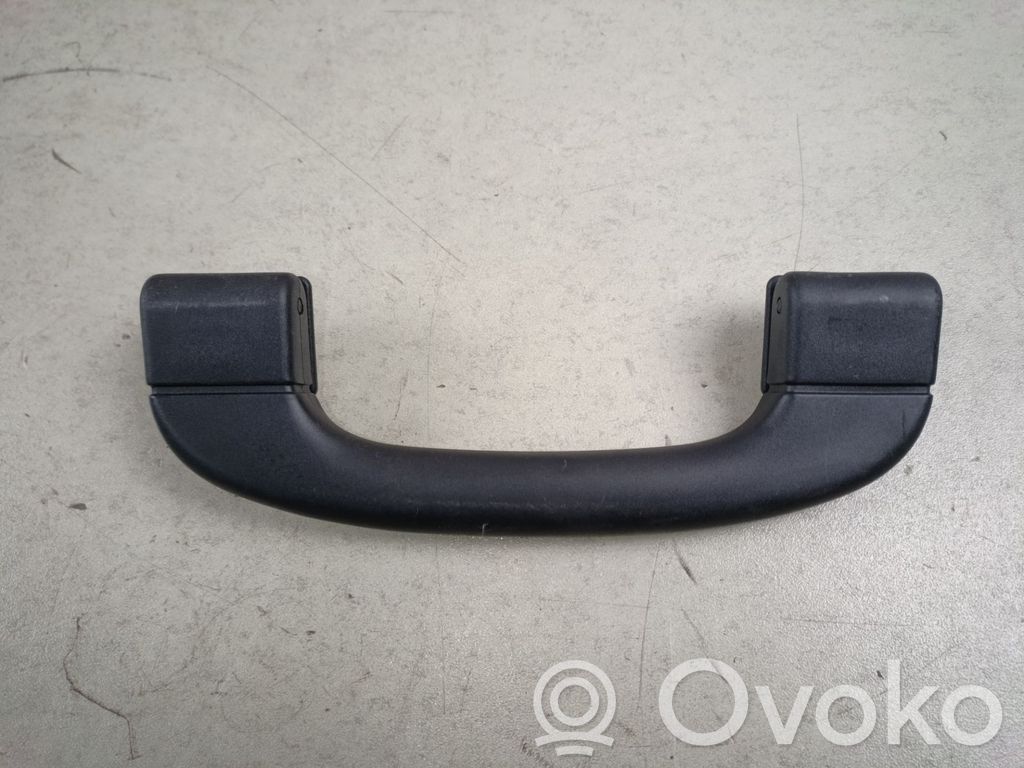 Asidero interior delantero   9143516