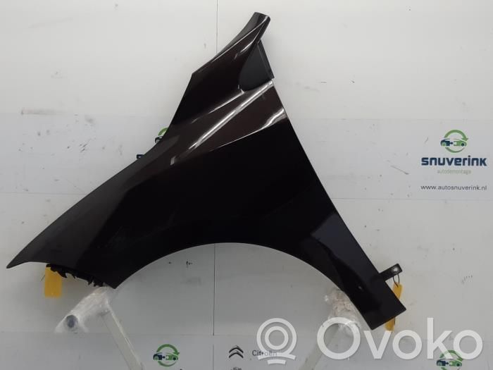 Renault Megane III Fender 