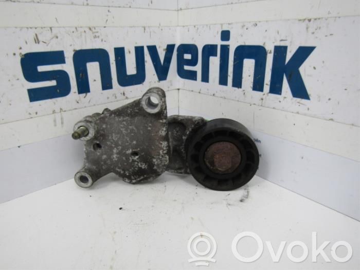 Peugeot 206 Generatoriaus diržo įtempėjas 