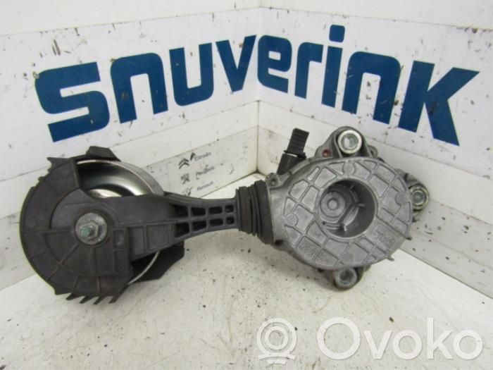 Peugeot 308 Napinacz paska wielorowkowego / Alternatora 