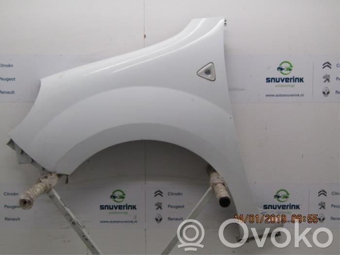 Renault Kangoo II Guardabarro 