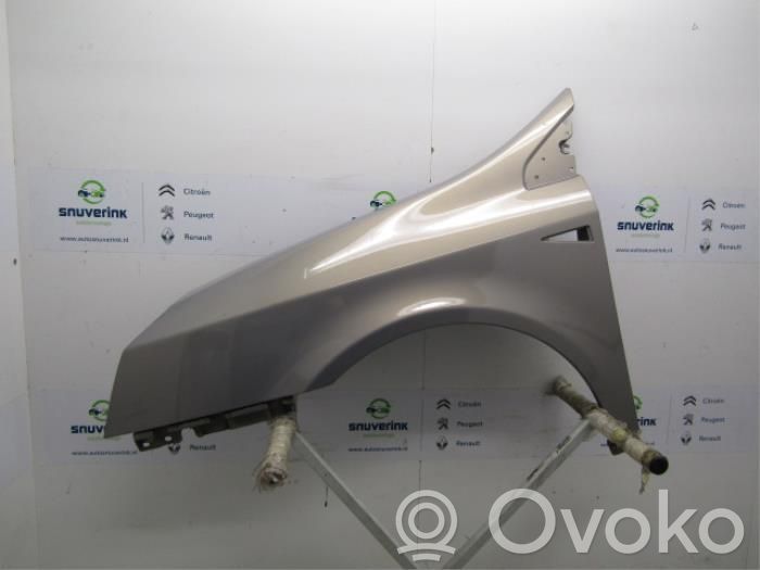 Renault Vel Satis Guardabarro 