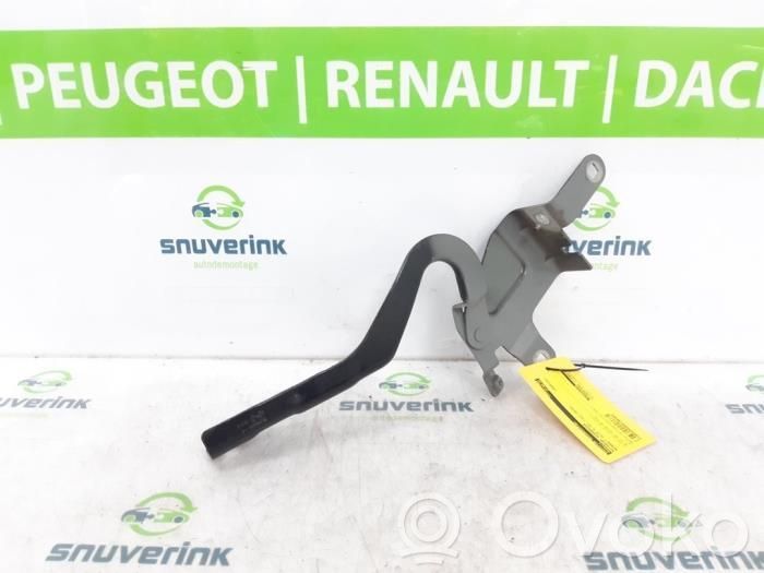 Charnière, capot moteur   654008394R,654005253R,654005253R