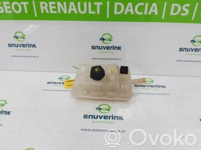 Renault Megane IV Vas expansiune/rezervor lichid de răcire 