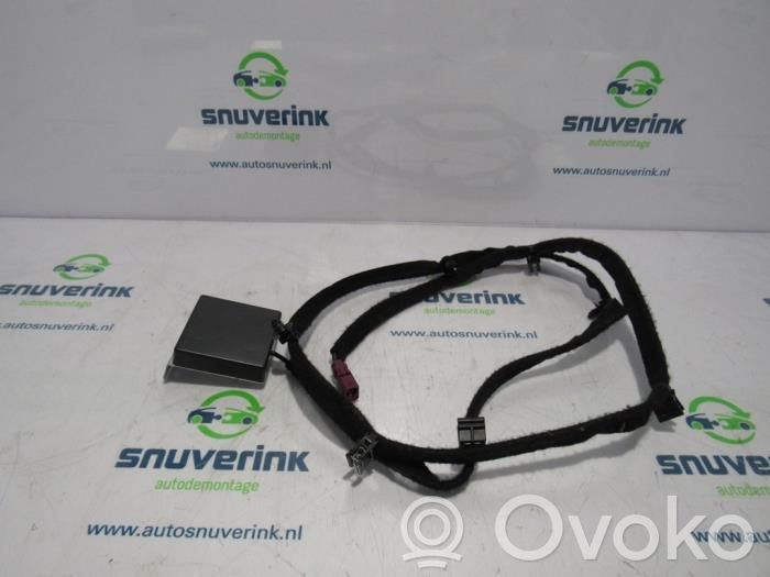Renault Zoe Radion antenni