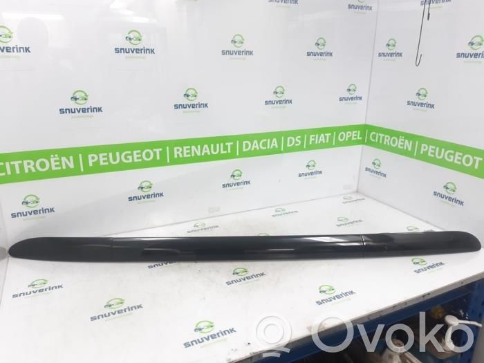 Citroen C4 Cactus Cubierta moldura embellecedora de la barra del techo 