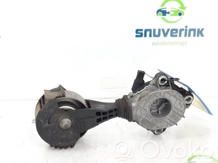Peugeot 207 Napinacz paska wielorowkowego / Alternatora 