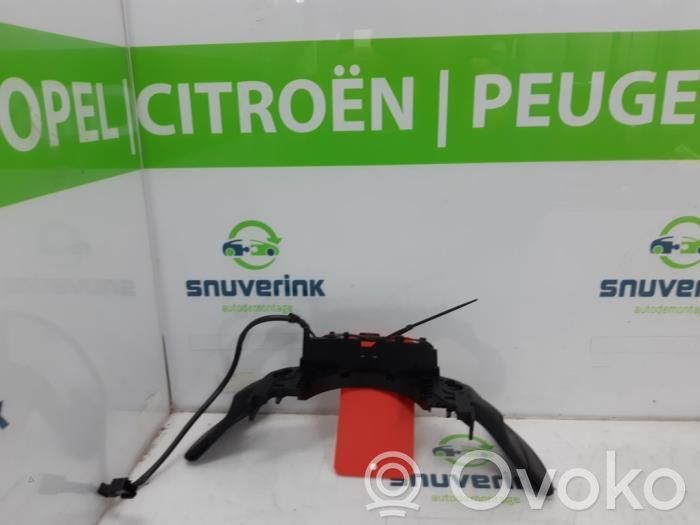 Citroen DS5 Otros interruptores/perillas/selectores 
