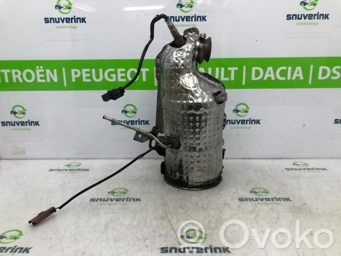 Citroen C3 Filtro antiparticolato catalizzatore/FAP/DPF 
