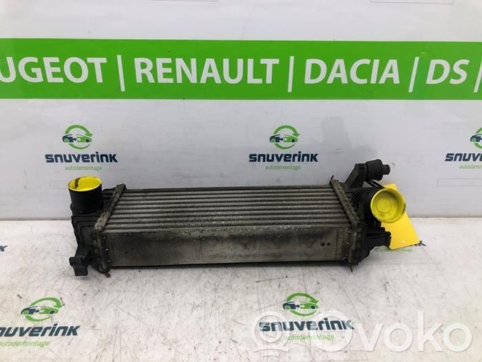 Renault Kangoo II Chłodnica powietrza doładowującego / Intercooler 