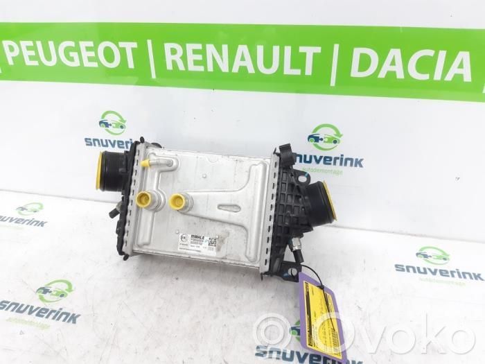 Fiat Ducato Riscaldatore liquido di raffreddamento 