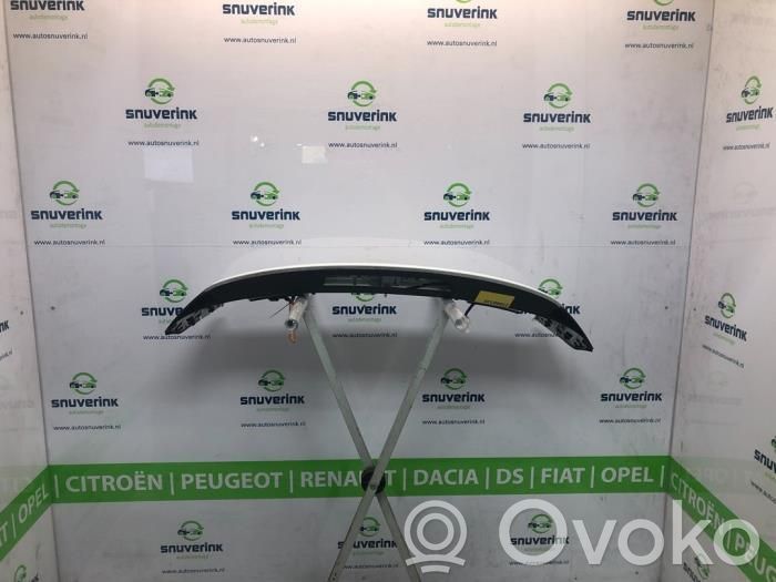 Citroen C4 Cactus Tailgate/trunk spoiler 