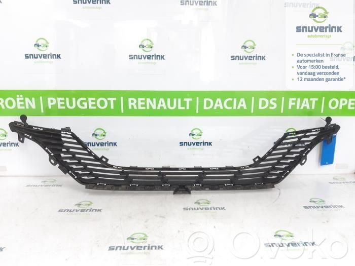 Kratka dolna zderzaka przedniego   98232098XT,169233171T,982320401T,9823204080,9823209780,982321012T,9832136180