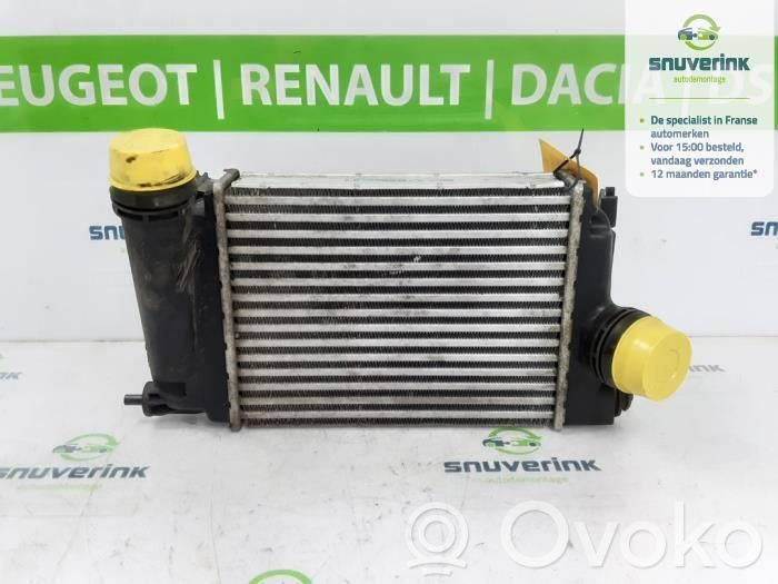 Renault Megane IV Intercooler radiator 