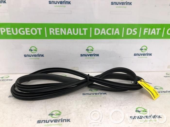 Renault Arkana Etuoven kumitiiviste