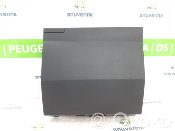 Handschuhfach komplett   685008021R