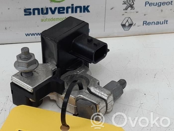Renault Zoe Cable negativo de tierra (batería) 